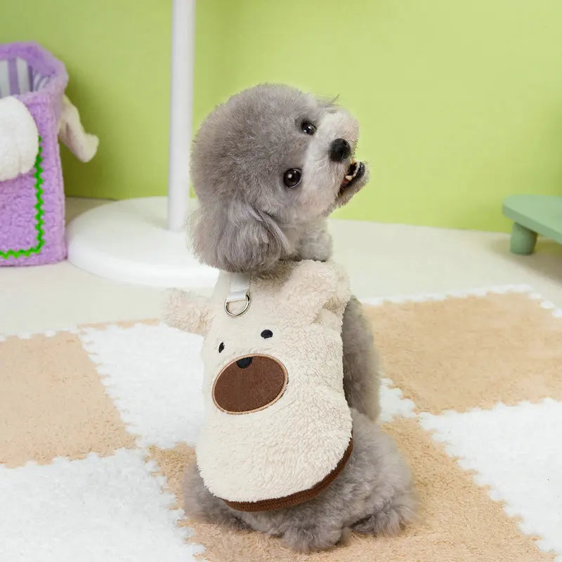 Teddy Coat Pet