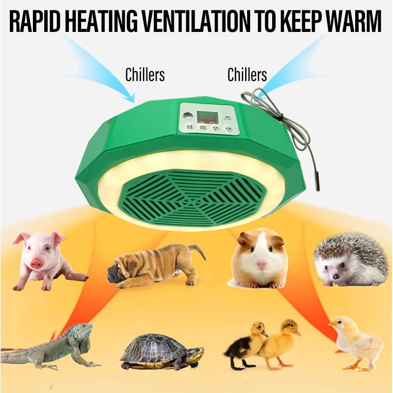 Pet  Heating Lamp