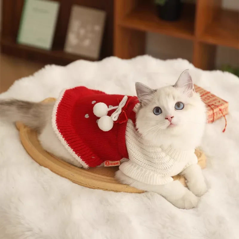 Cat Christmas Clothes