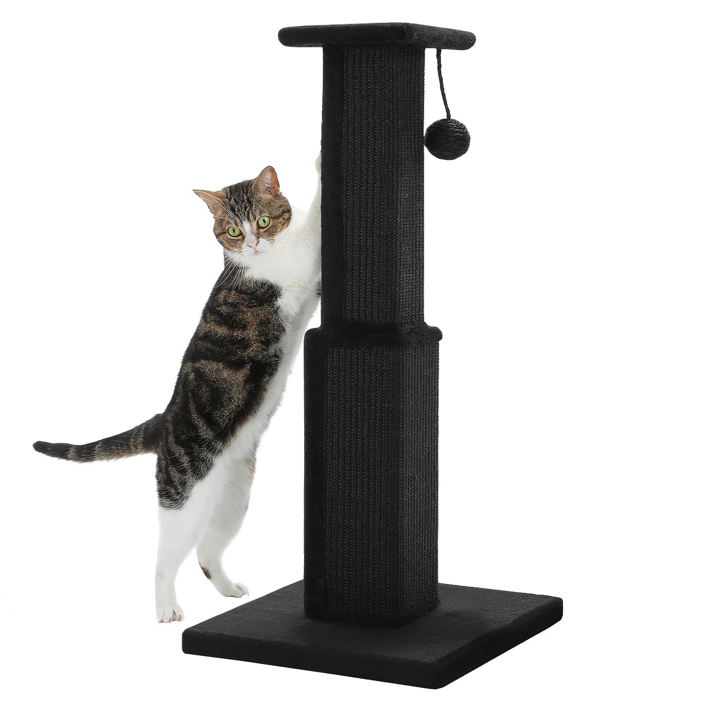 80CM Cat Scratching Post for Indoor