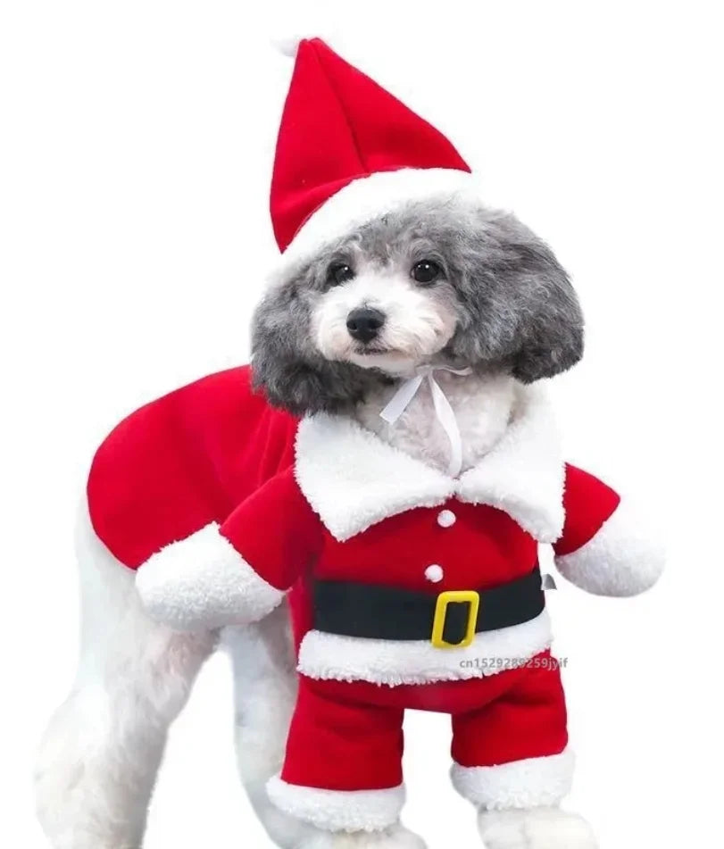 Santa Claus Dog Costume