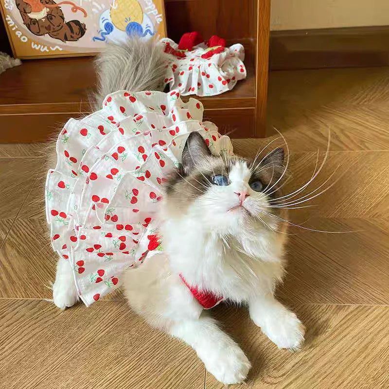 Pet Dress for Dogs & Cats