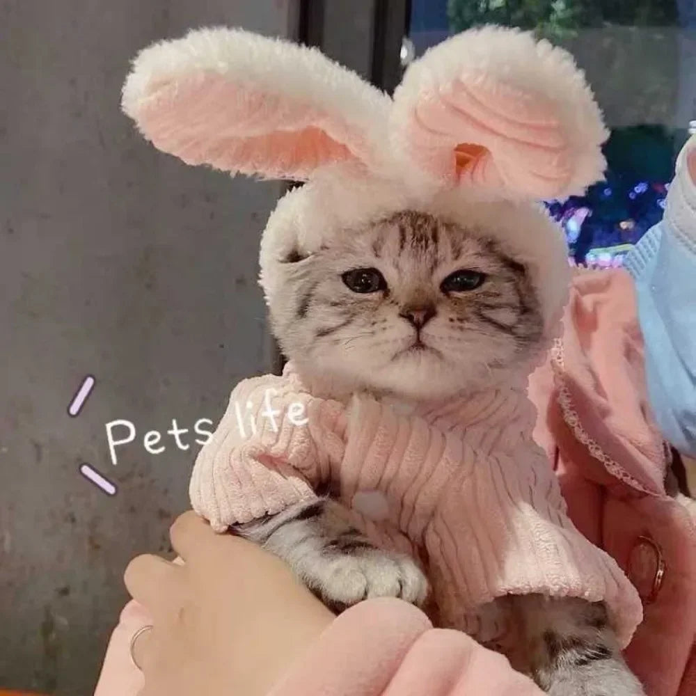 Lovable Pet Clothes Autumn and Winter