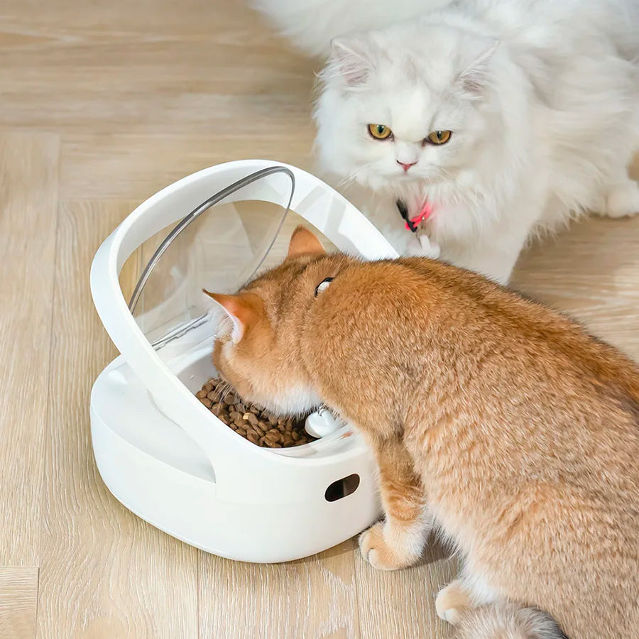 New Petoneer NutriCare Feeder Tailored For Multi-Pet Households