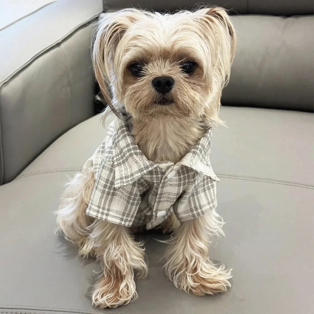 Plaid Shirt for Dogs And Cats