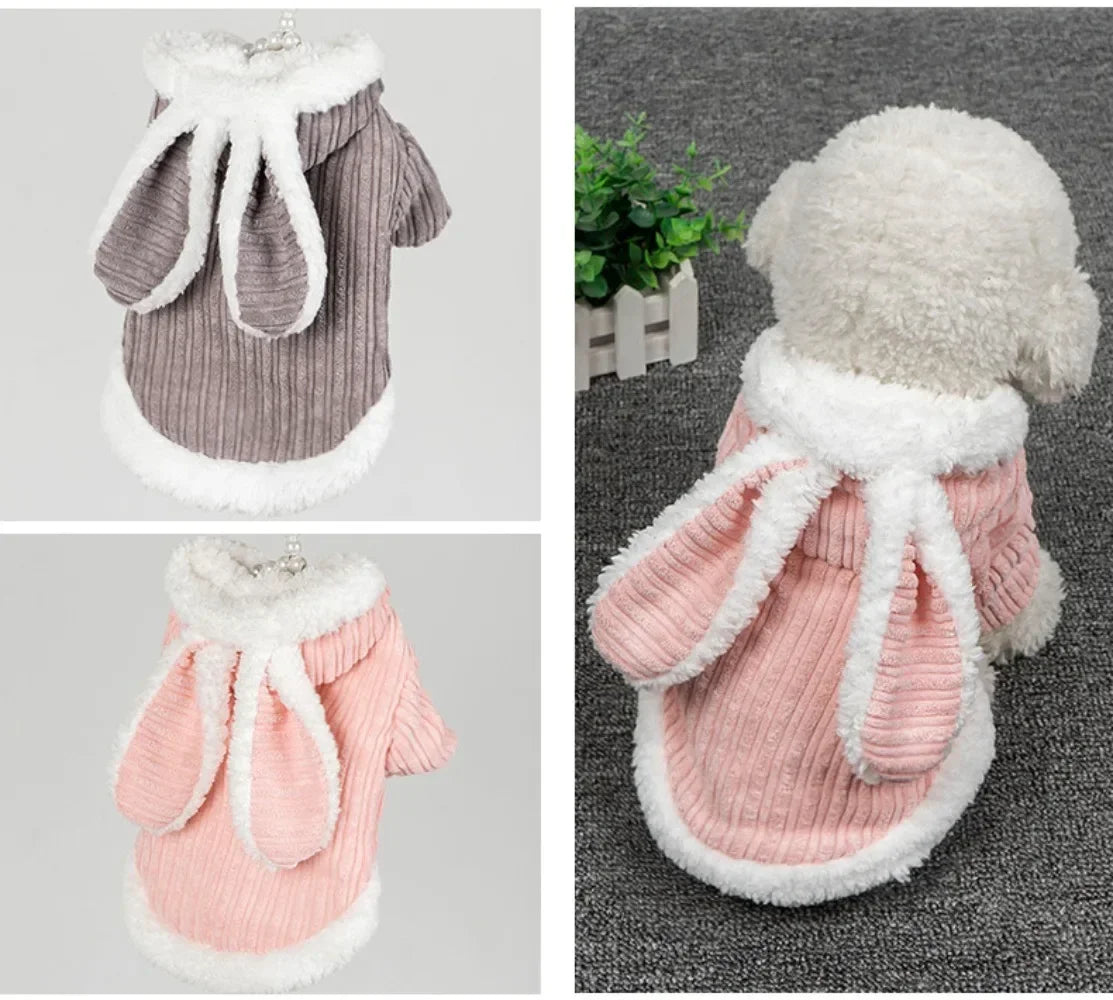 Lovable Pet Clothes Autumn and Winter