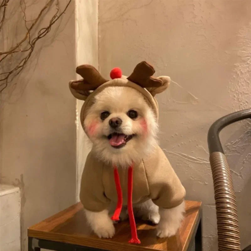 Dog Christmas Clothes