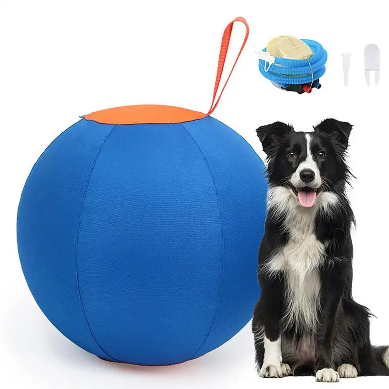 Dog Herding Ball for Dogs & Puppies