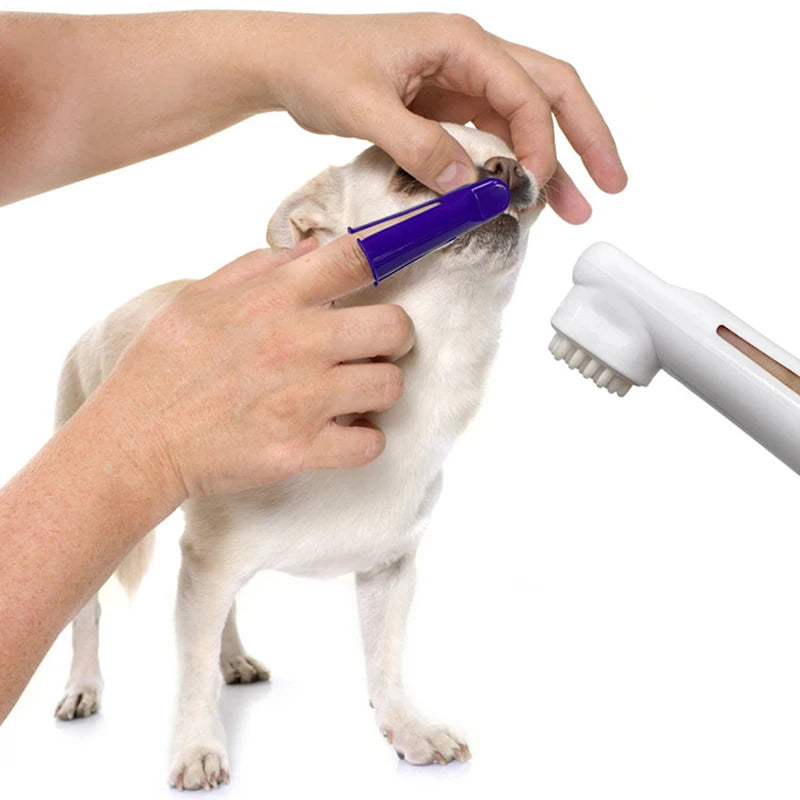 Pets Tartar Control Kit