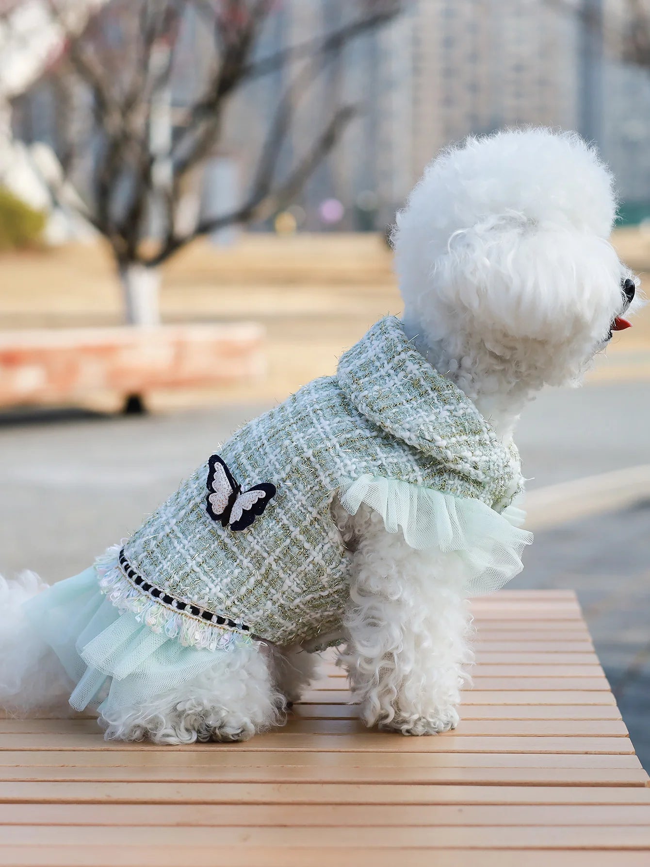 Princess Dress & Jacket