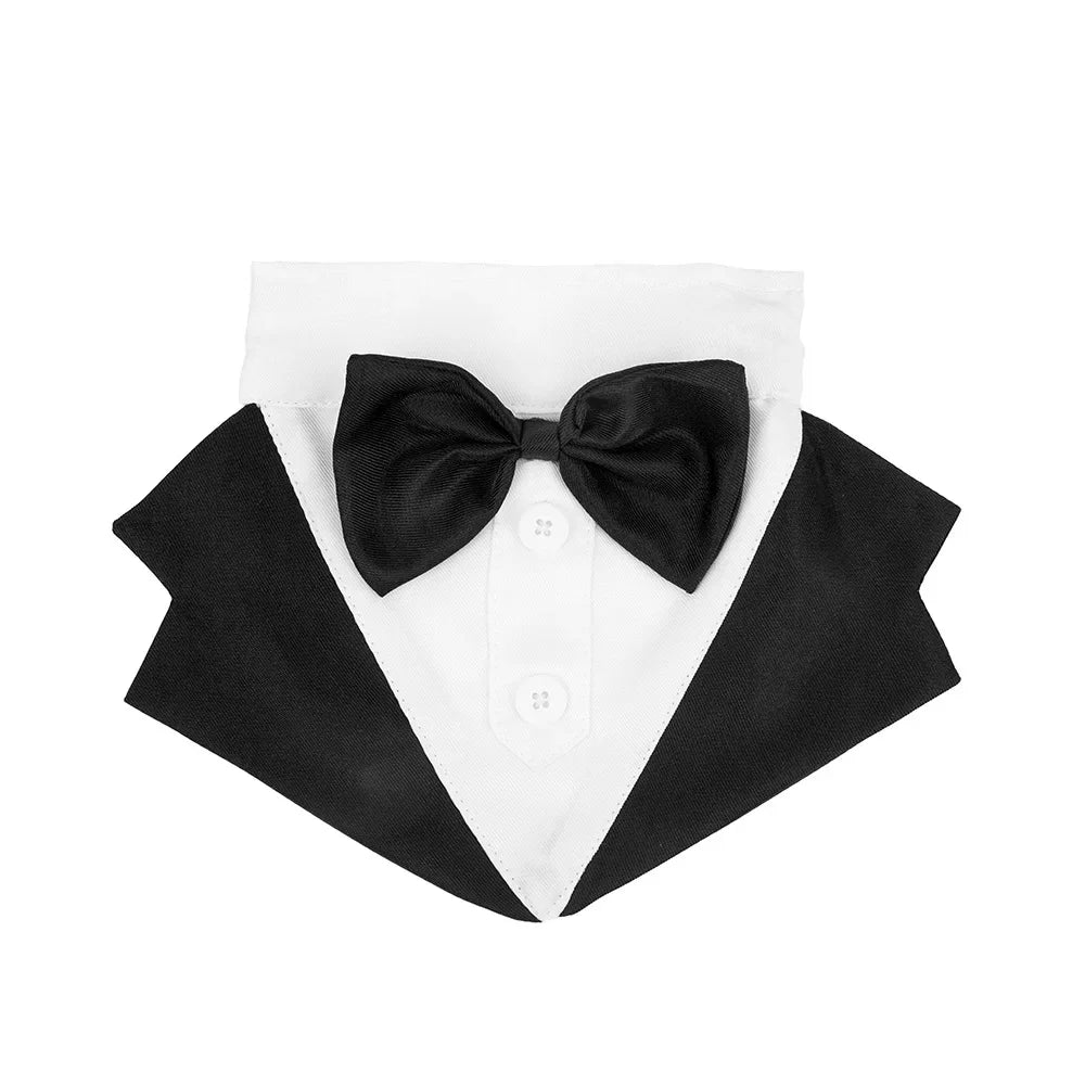 Suit Tie Bow Shirt Wedding