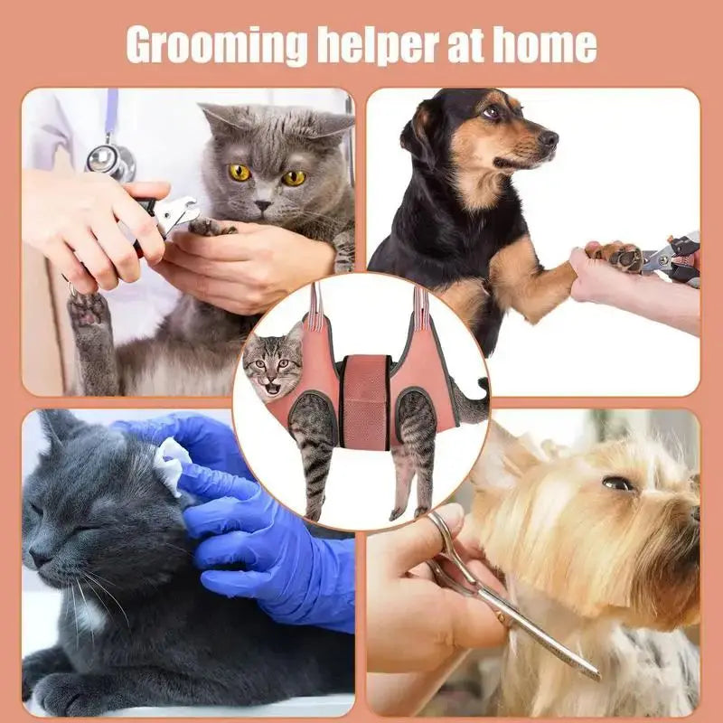 New Pet Grooming Helper