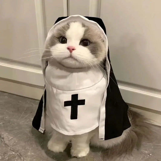 Nun Cat Dog Costume