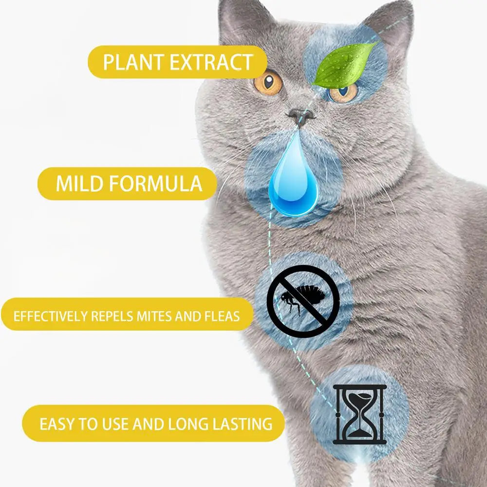 Flea and Tick Treatment