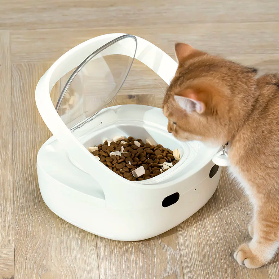 New Petoneer NutriCare Feeder Tailored For Multi-Pet Households