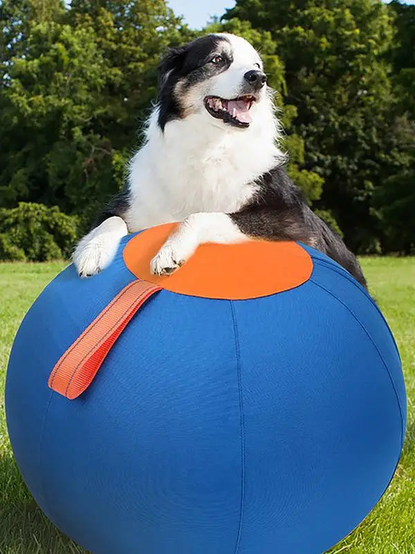 Dog Herding Ball for Dogs & Puppies