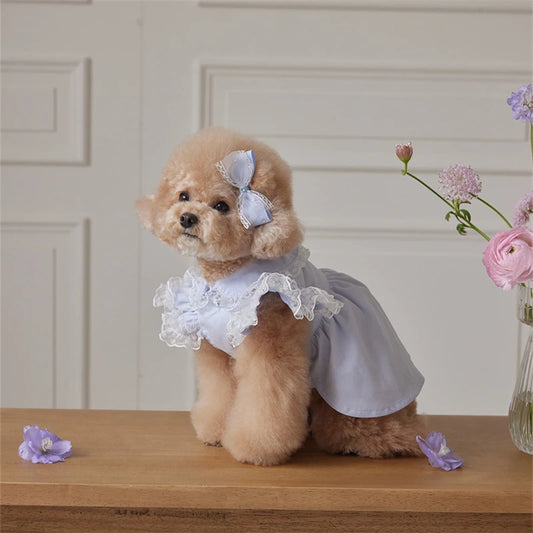 Flower Girl Dresses for Small Dog