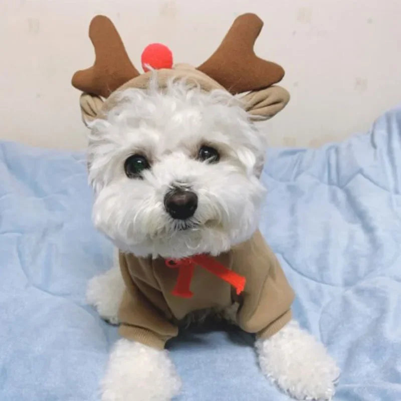 Dog Christmas Clothes