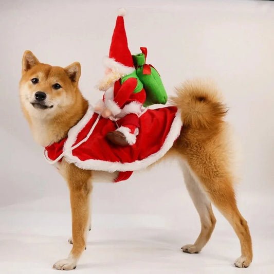 Christmas Dog Costume Funny