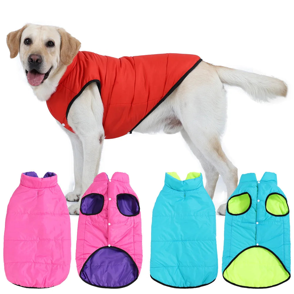 Large Dogs Jacket