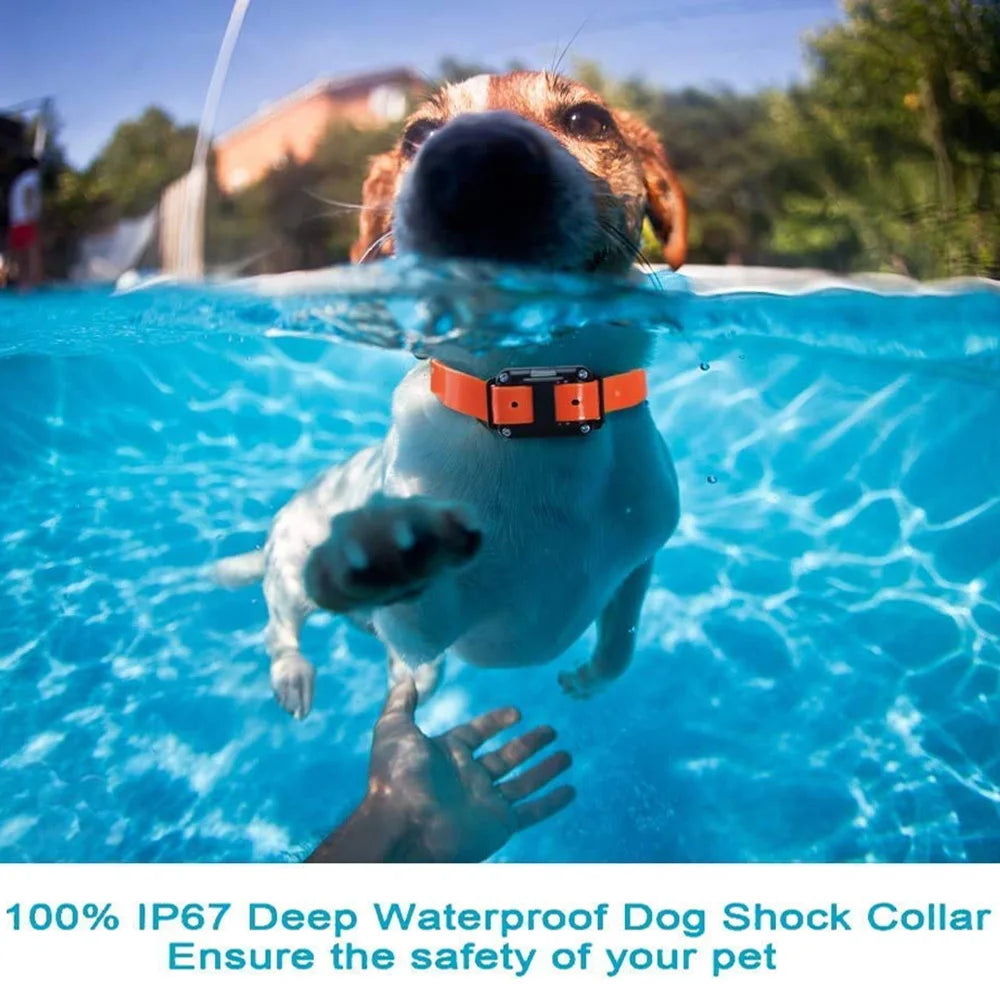 800m Digital Dog Training Collar Waterproof Rechargeable Remote Control