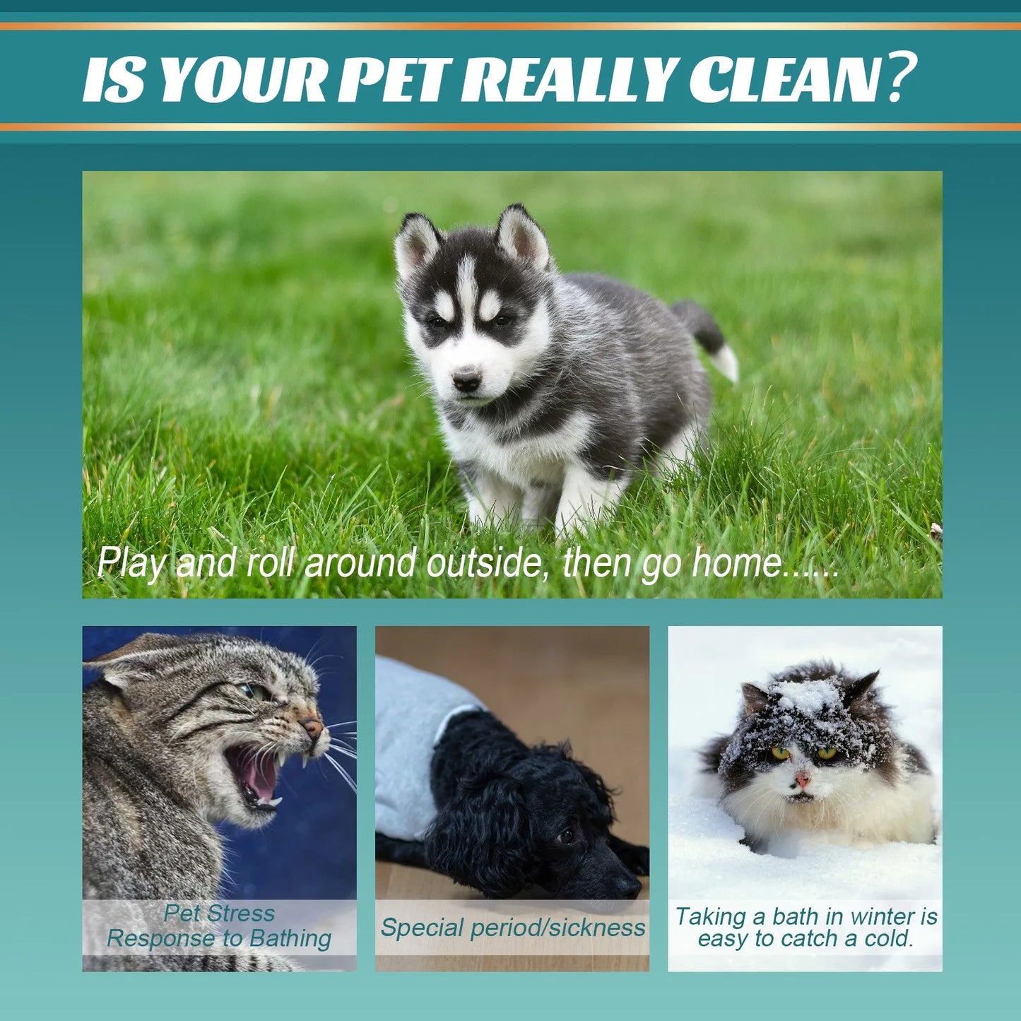 Pet Wash free Gloves