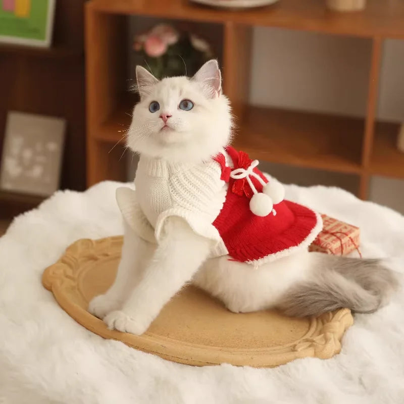 Cat Christmas Clothes