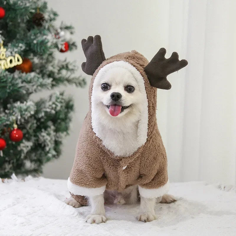 Dog Christmas Clothes