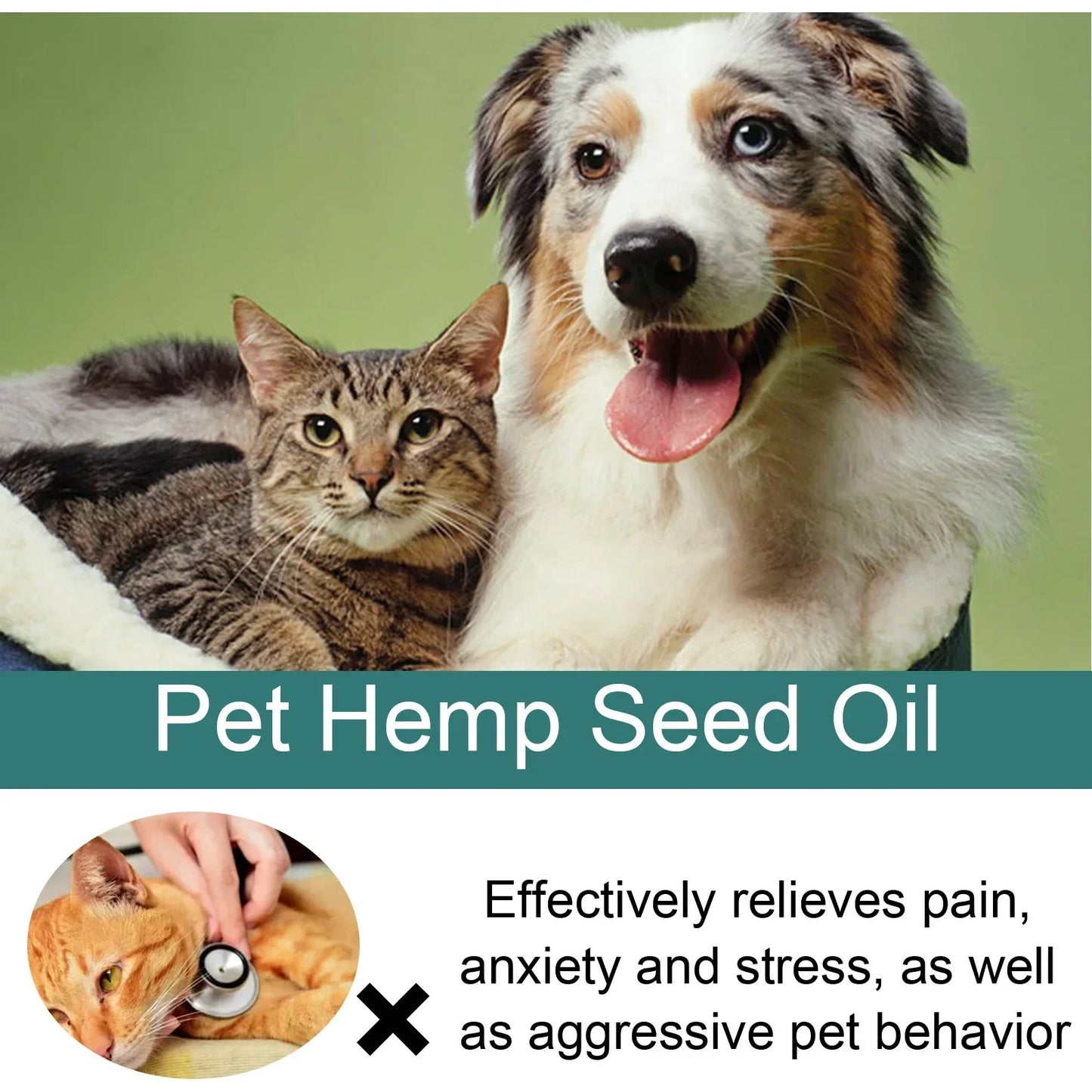 Pet Hemp speed oil