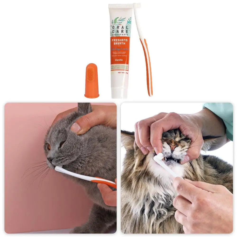 Healthy Edible Toothpaste With Toothbrush