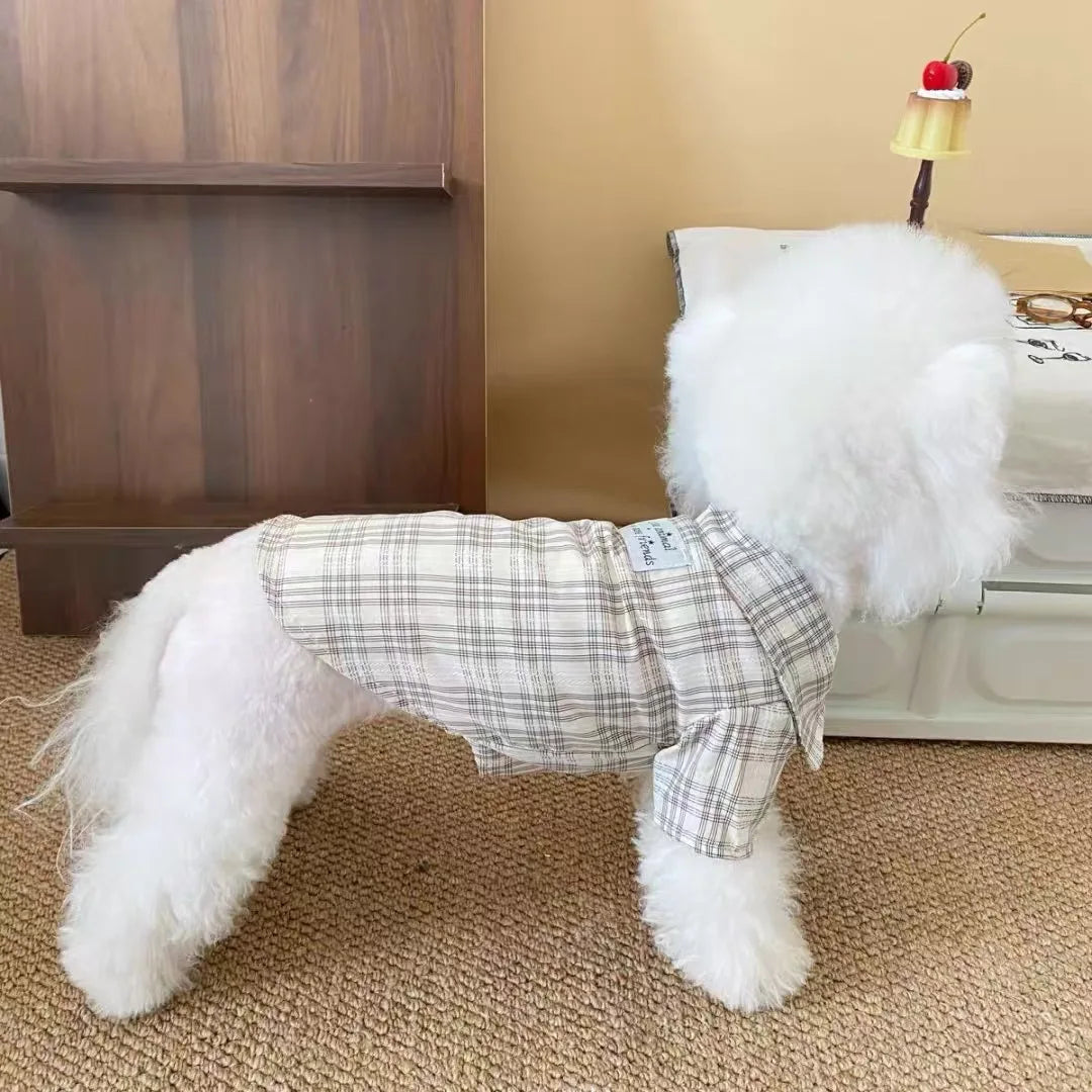Pet Dress
