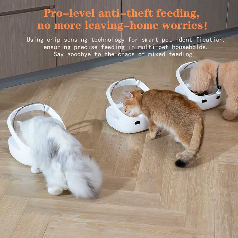 New Petoneer NutriCare Feeder Tailored For Multi-Pet Households