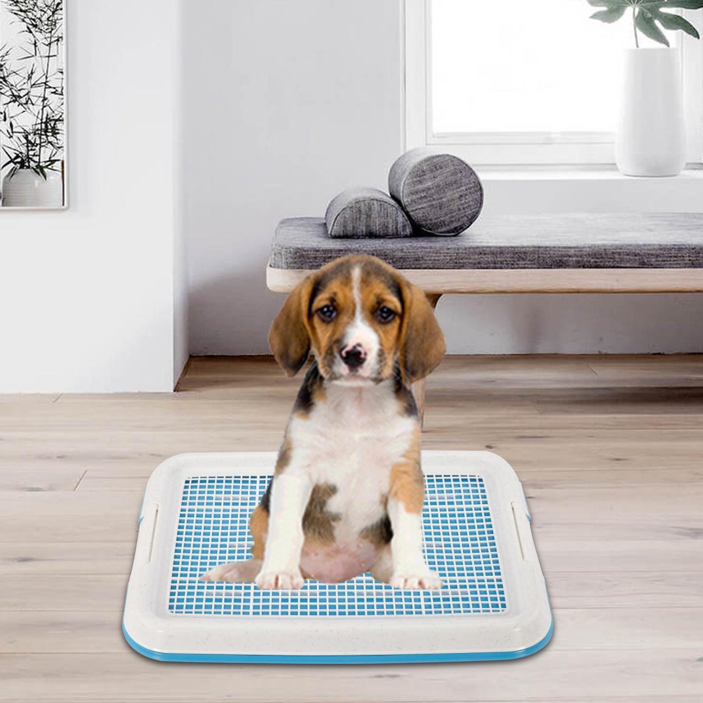 Dog Potty Toilet Training Tray Easy to Clean Removable
