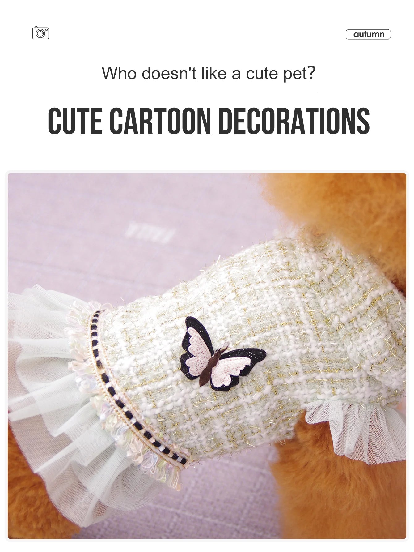 Princess Dress & Jacket