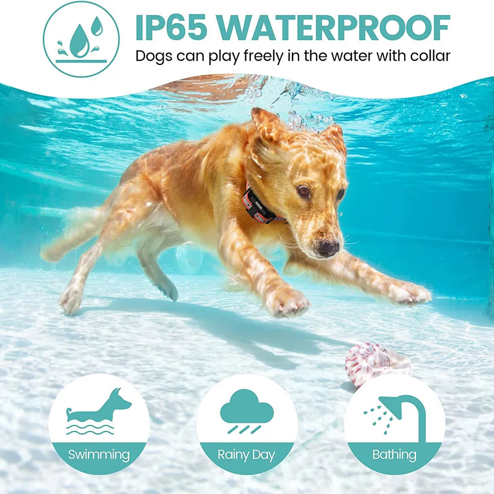 800m Digital Dog Training Collar Waterproof Rechargeable Remote Control