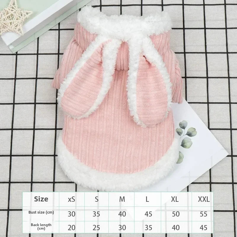 Lovable Pet Clothes Autumn and Winter