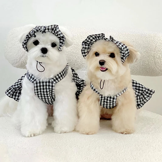Fashion Dog Clothing Modern Style Black White