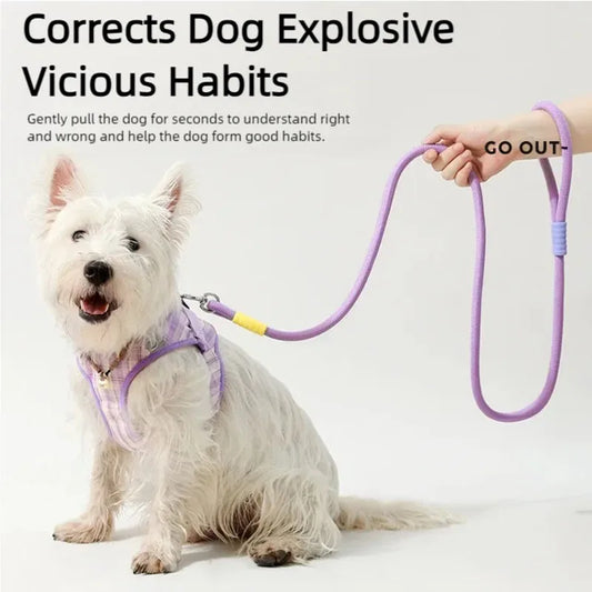 Pet walking leash