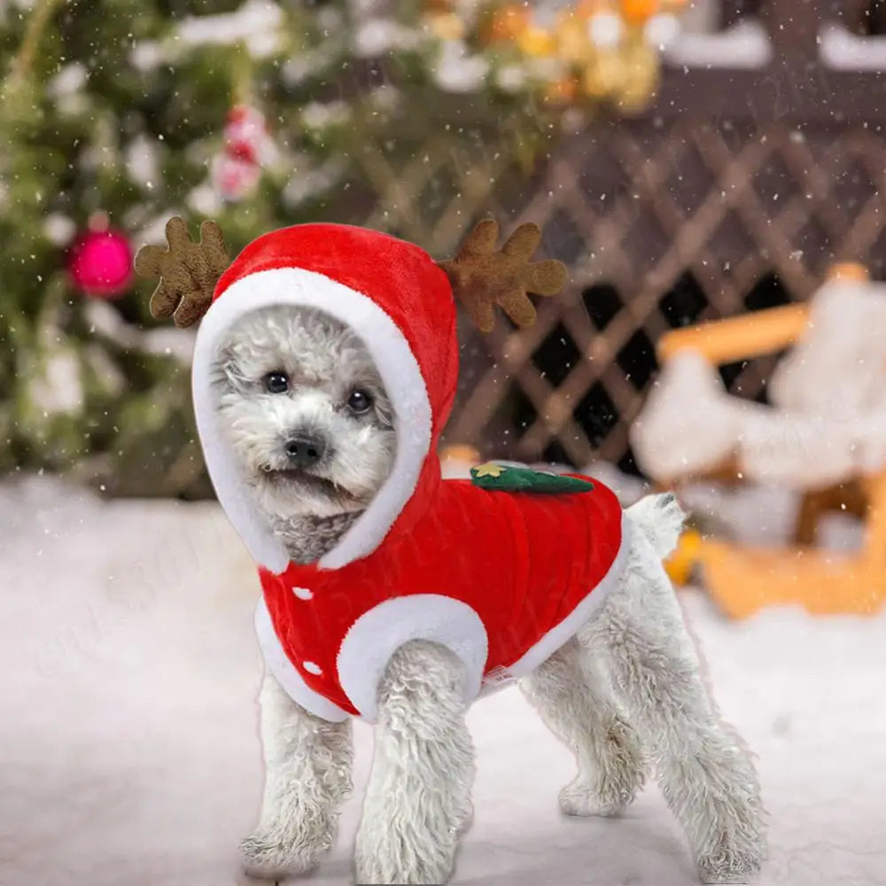 Christmas Pet Clothes