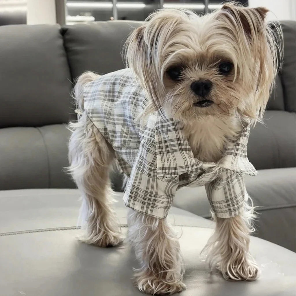 Plaid Shirt for Dogs And Cats