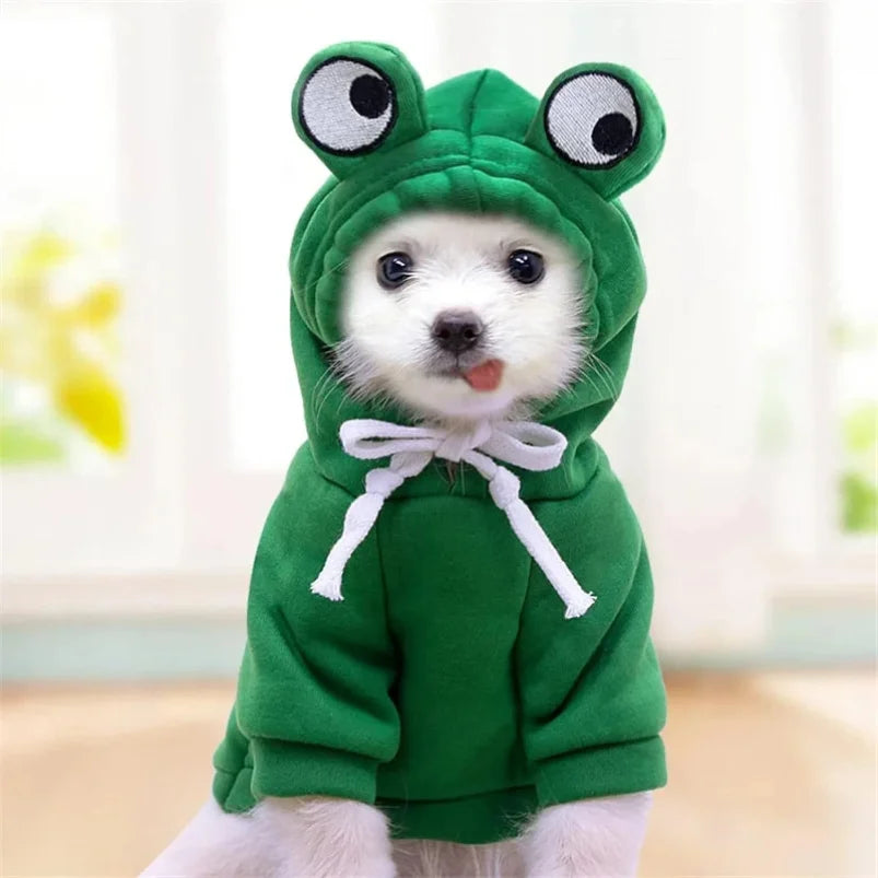 Pet hoodie