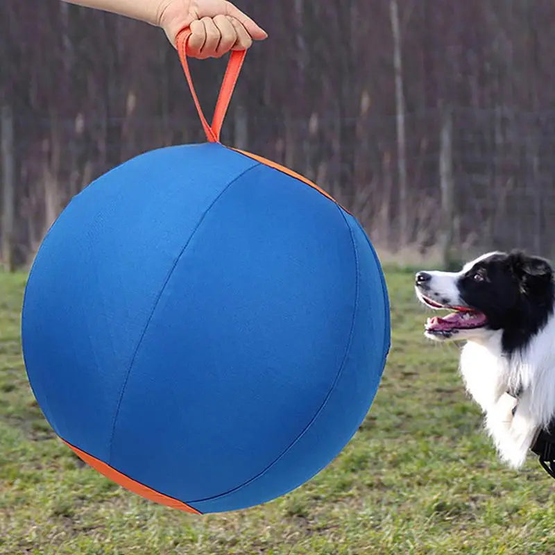Dog Herding Ball for Dogs & Puppies