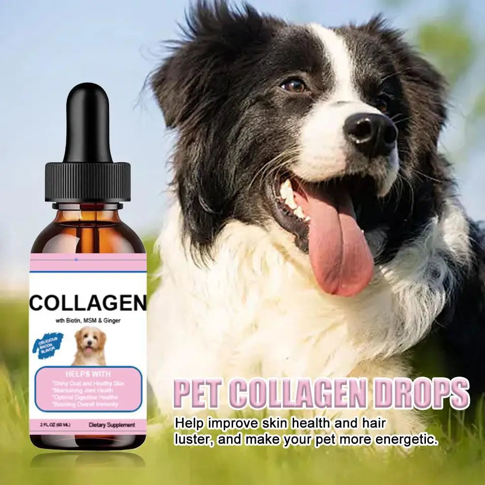 Pet Collagen Drops For Dogs And Cats Healthy Nutritional Supplement