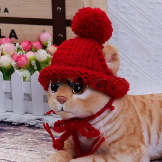Stylish Dog Cat Warm Hat