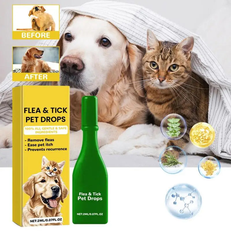 Flea and Tick Treatment