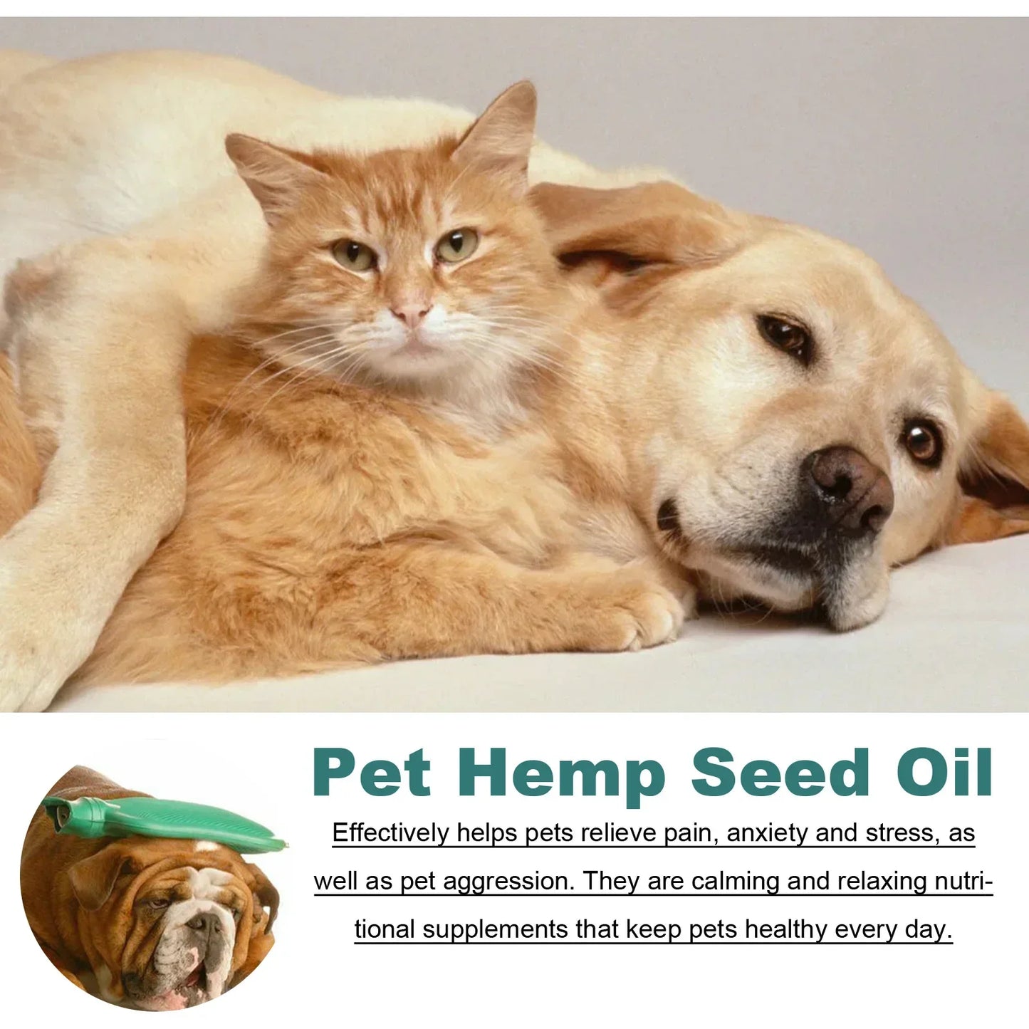 Pet Hemp speed oil