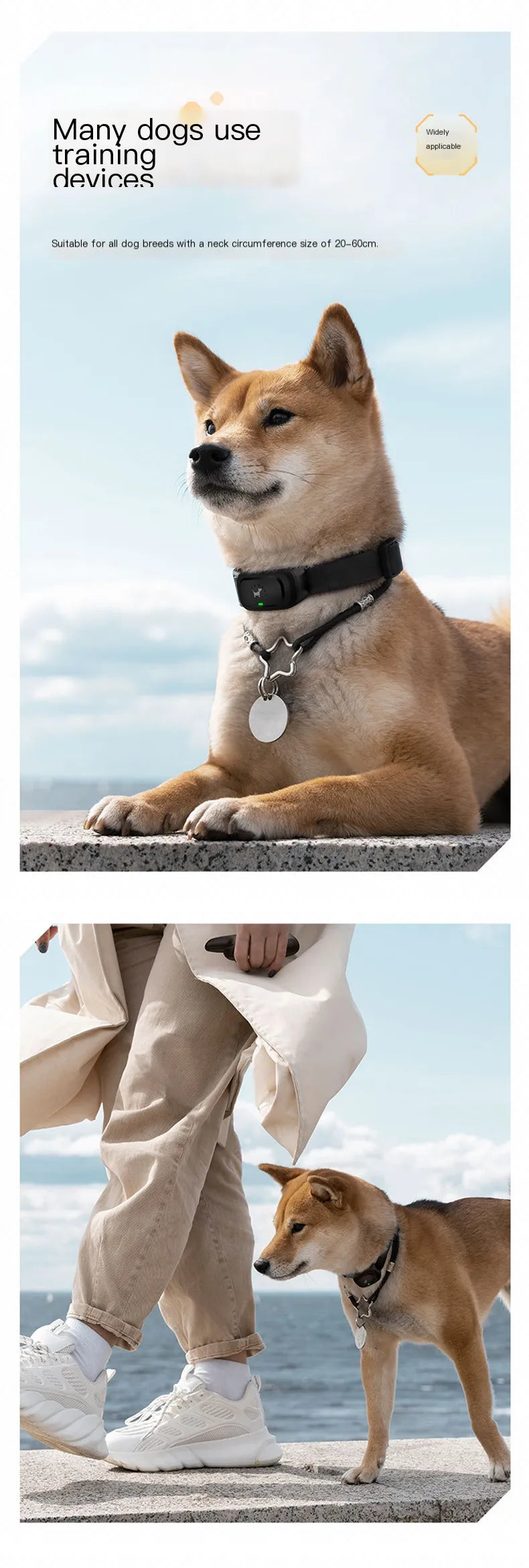 Dog training device remote control barking