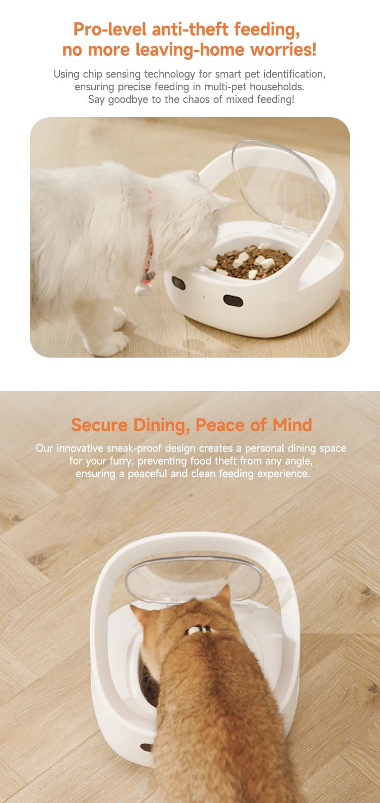 New Petoneer NutriCare Feeder Tailored For Multi-Pet Households
