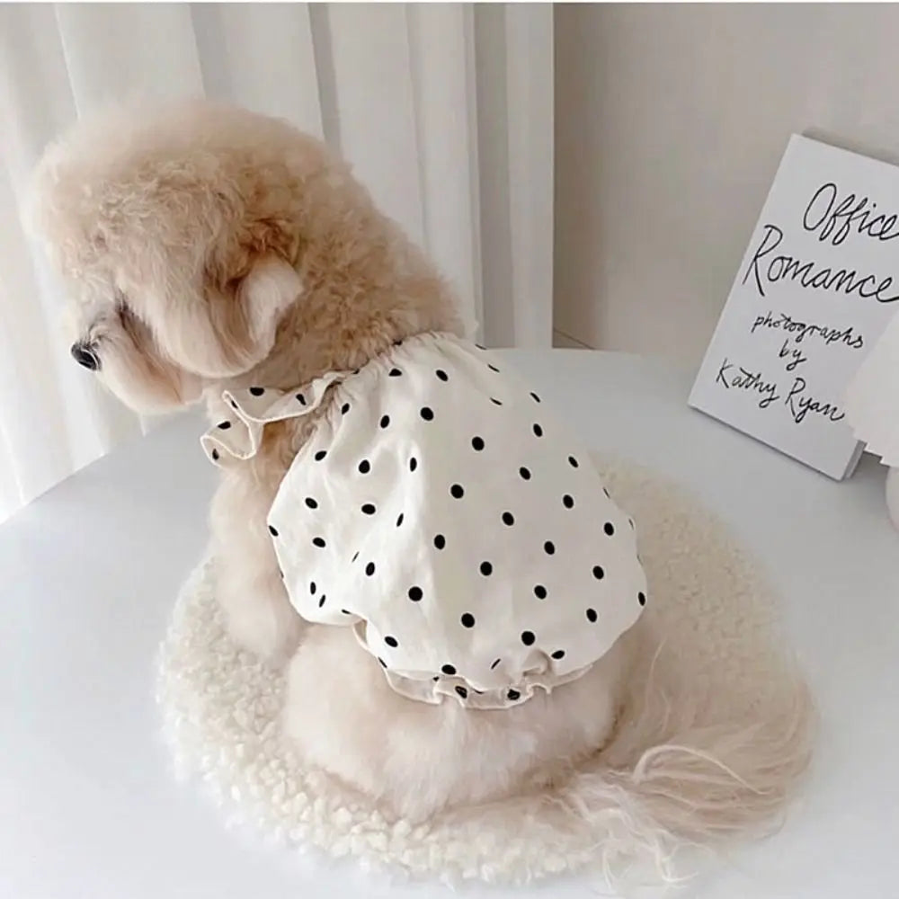 Dog Vest Dot Pattern Skirt