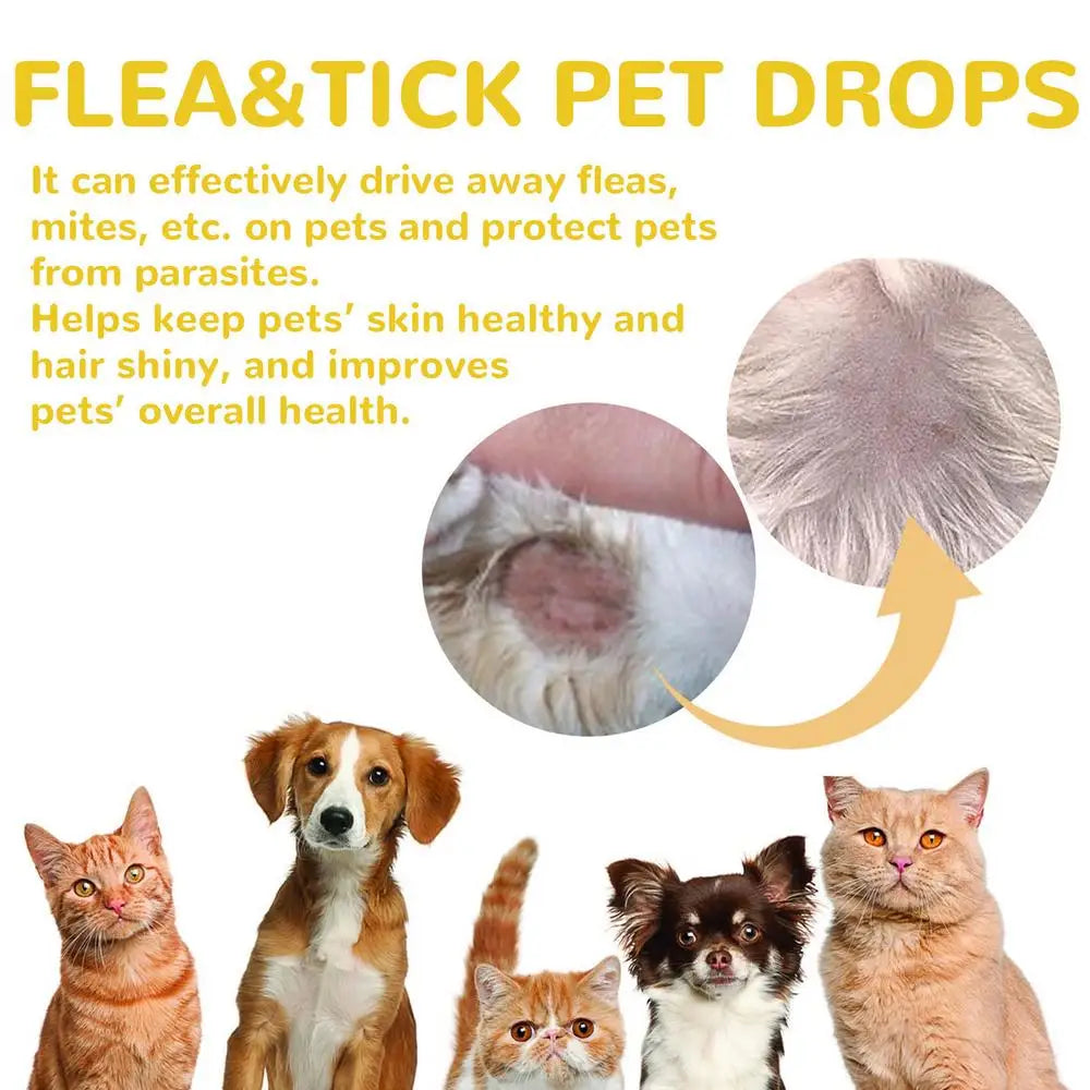 Flea and Tick Treatment